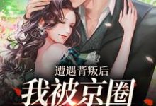 遭遇背叛后,我被京圈大佬捡回家小说阅读,遭遇背叛后,我被京圈大佬捡回家完结版-红梅文学