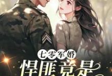 七零军婚,悍匪竟是首长小娇妻顾岂言沈单染,七零军婚,悍匪竟是首长小娇妻小说免费阅读-红梅文学