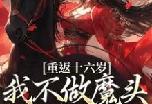 重返十六岁,我不做魔头改修仙了(晏琅)完整版在线免费阅读-红梅文学