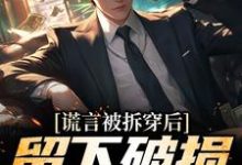 谎言被拆穿后，留下破损的婚姻张齐赵雪小说大结局免费试读-红梅文学