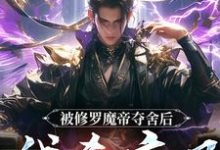 被修罗魔帝夺舍后,我杀疯了小说的免费阅读版本在哪里可以找到?-红梅文学