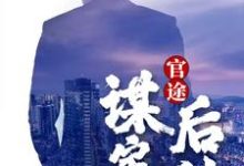 官途:谋定而后动小说无弹窗阅读的网站推荐-红梅文学