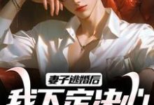 妻子逃婚后，我下定决心选了她最新章节，妻子逃婚后，我下定决心选了她免费阅读-红梅文学