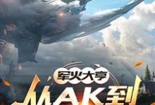已完结小说《军火大亨:从ak到星际航母》章节在线阅读-红梅文学