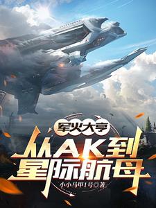 已完结小说《军火大亨：从ak到星际航母》章节在线阅读