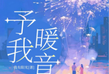 《予我暖音》宋婉音谢彬鹤小说免费阅读完整版-红梅文学