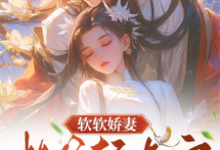《软软娇妻,相爷轻点宠》小说章节在线试读,《软软娇妻,相爷轻点宠》最新章节目录-红梅文学