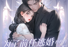 安澜沈风致小说为了前任逃婚？她绝不原谅完整版阅读-红梅文学