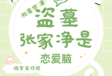 盗墓:张家净是恋爱脑小说最新更新在哪里?免费在线看-红梅文学