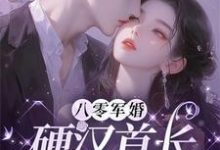 寻找八零军婚:硬汉首长怕娇娇媳妇小说的最新更新章节-红梅文学