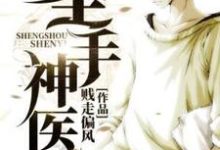 《圣手神医》小说免费阅读完整版-红梅文学
