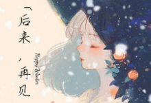 小说《后来,再见》章节免费阅读-红梅文学