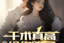 千术真高,阿姨给你跪了董航林婵,千术真高,阿姨给你跪了章节在线阅读-红梅文学