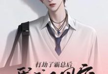 已完结小说《打劫了霸总后我成了团宠》章节在线阅读-红梅文学