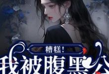 免费看糟糕!我被腹黑公子缠上了小说的网站有哪些?-红梅文学