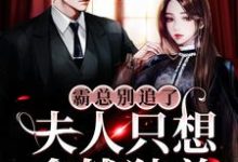 在线寻找霸总别追了,夫人只想拿钱独美小说的无删减版本-红梅文学