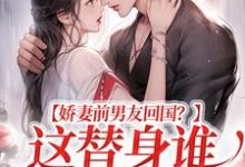 完结版《娇妻前男友回国?这替身谁爱当谁当》章节目录在线阅读-红梅文学