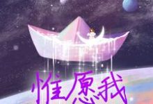 《惟愿我不曾深爱》夏墨傅哲小说免费阅读完整版-红梅文学