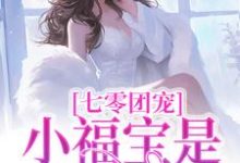 小宝完整版小说《七零团宠:小福宝是锦鲤吖》免费阅读-红梅文学