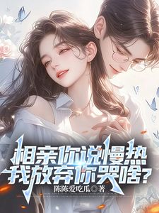 《相亲你说慢热，我放弃你哭啥？》丁歌完整版小说免费阅读