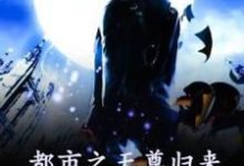 《都市之天尊归来》小说王宁章节章节免费在线阅读-红梅文学