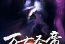 求万古圣帝小说的全文免费阅读链接-红梅文学