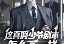 《这真假少爷剧本怎么不一样》小说大结局免费试读 苏墨小说-红梅文学