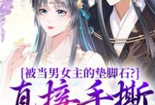 寻找被当男女主的垫脚石?直接手撕剧本小说的最新更新章节-红梅文学
