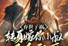 免费在线阅读弃世子祸,转身嫁你小叔万千宠爱小说的正规网站有哪些?-红梅文学