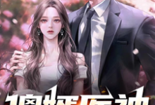 傻婿医神秦浩天苏仙瑶,傻婿医神完整版最新章节-红梅文学