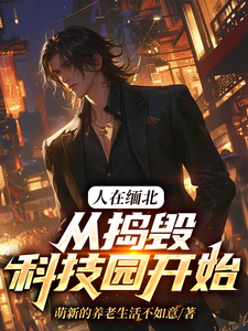 免费看人在缅北，从捣毁科技园开始小说的网站有哪些？