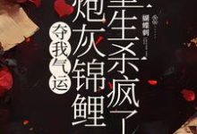 夺我气运,炮灰锦鲤重生杀疯了小说有没有完整的免费版本在线阅读?-红梅文学