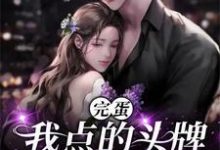 已完结小说《完蛋,我点的头牌是京圈大佬》章节免费阅读-红梅文学