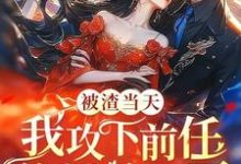 沈舒薇小说《被渣当天,我攻下前任的禁欲哥哥》完整版免费阅读-红梅文学