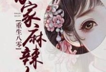 重生八零:农家麻辣女李婉小说免费阅读-红梅文学
