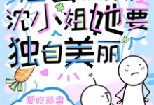 求渣公快滚,沈小姐她要独自美丽小说的全文免费阅读链接-红梅文学