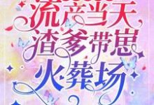 寻找先救白月光?流产当天渣爹带崽火葬场小说的最新更新章节-红梅文学