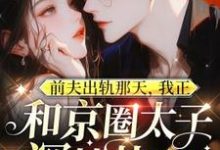 寻找能够免费阅读前夫出轨那天,我正和京圈太子深情热吻小说的平台-红梅文学