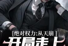已完结小说《绝对权力:从天崩开局走上官途巅峰》章节在线阅读-红梅文学