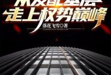 求官梯:从发配基层走上权势巅峰小说的全文免费阅读链接-红梅文学
