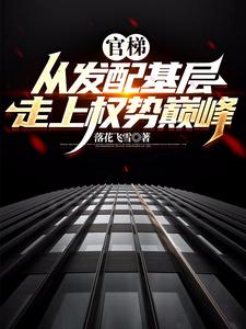 求官梯：从发配基层走上权势巅峰小说的全文免费阅读链接