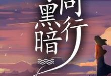 哪里能找到与黑暗同行小说的最新更新和免费章节?-红梅文学