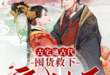 《古宅通古代,囤货救下守城太子!》小说免费阅读完整版-红梅文学