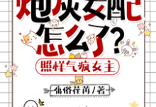 炮灰女配怎么了?照样气疯女主叶希玥小说在线章节目录阅读最新章节-红梅文学