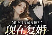 求前夫哥又帅又撩?现在复婚来得及吗小说的全文免费阅读链接-红梅文学