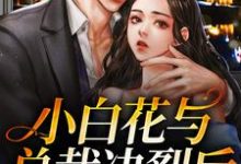 哪里可以免费找到小白花与总裁决裂后,他后悔疯了?-红梅文学