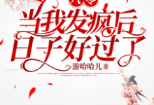 完结版《八零,当我发疯后,日子好过了》章节阅读-红梅文学