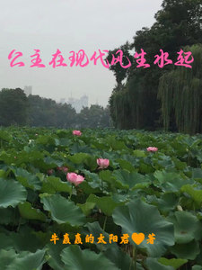 完结版《公主在现代风生水起》章节阅读