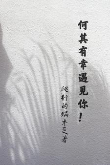小说《何其有幸遇见你！》在线章节阅读