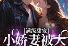 傅琛楚辞小说叫什么(满级甜宠:小娇妻被大佬宠上天了完整版免费阅读)-红梅文学